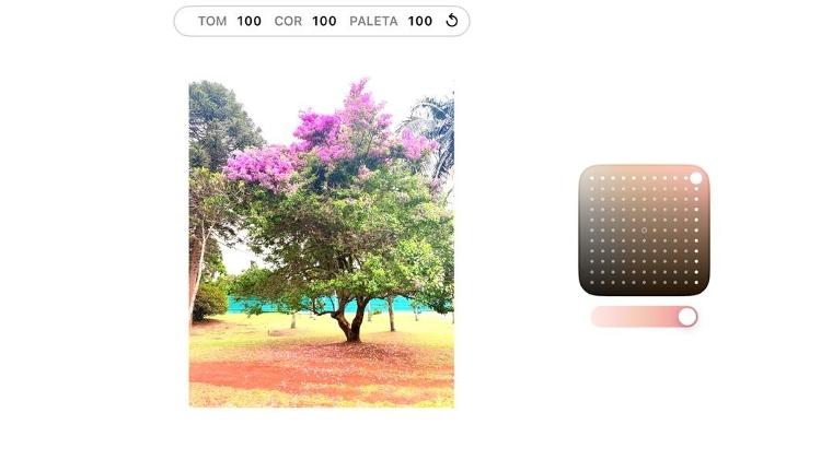 Estilo fotográfico modo Ouro Rosa Estilo fotográfico modo Ouro Rosa